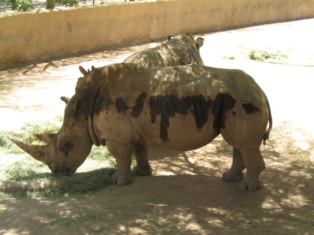 618x457 pixels (176K)